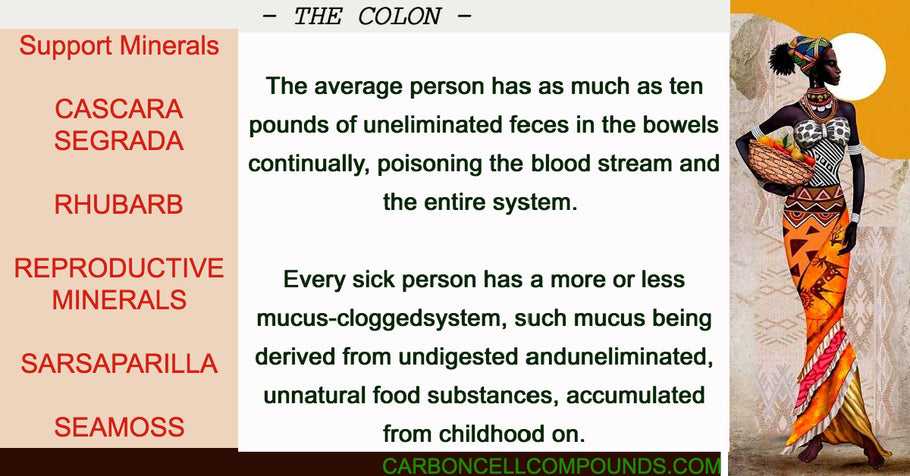 🌿 COLON HEALTH