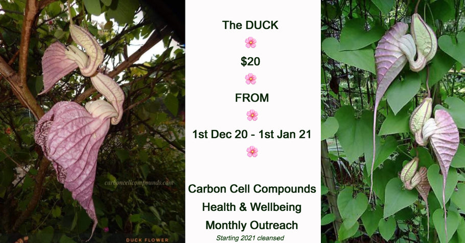 De Duck Flower