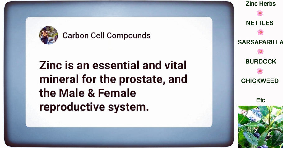 ZINC CELL MINERAL (HERBS)