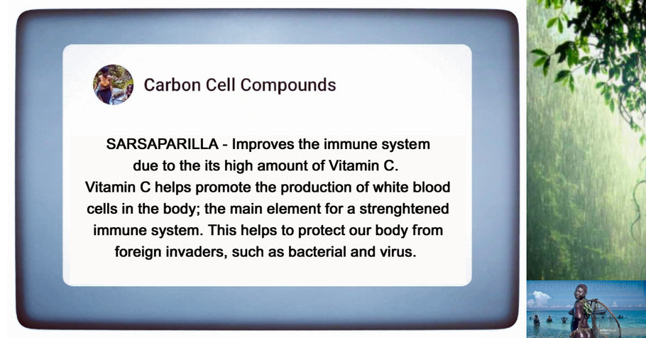 🌿SARSAPARILLA - Health Benefits