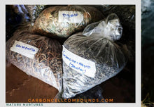Load image into Gallery viewer, CORDONCILLO Negro - Origin. C/S.Americas | - (Next Wild-Pick 30th Mar) - | - FREE SHIPPING applies to orders up to 99 Dollars or 50 Pounds