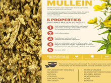 Load image into Gallery viewer, MULLEIN  Wild Herb Flowers  (Country Origin. Egypt)  - FREE Domestic Shipping - | - FREE Intn'l Shipping (for orders up to 99 Dollars)