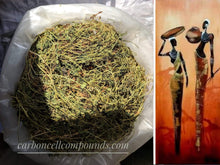 Load image into Gallery viewer, BITTER MELON (Country Origin. Jamaica) Free Shipping