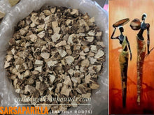 Load image into Gallery viewer, SARSAPARILLA ROOTS  (Country of Origin.  Carribean Mountains) Free Shipping