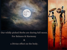 Load image into Gallery viewer, Xmas Festive Seasonal Gift!! | Health, Detox &amp; Wellbeing |  PAVANA - Origin. C/S.Americas | - (Next Wild-Pick  30th Feb) - | -
