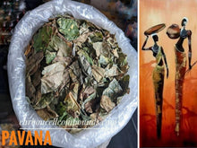Load image into Gallery viewer, HERB PAVANA - Origin. C/S.Americas | - (Next Wild-Pick  30th May) - | - FREE SHiPPING applies to orders up to 99 Dollars or 50 Pounds