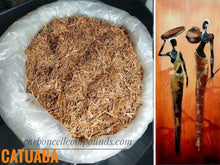 Load image into Gallery viewer, CATUABA BARK  (Origin. South Americas Mountains) | - FREE Intn'l Shipping(for orders up to 99 Dollars)