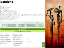 Load image into Gallery viewer, DAMIANA  - Origin. C/S.Americas | - (Next Wild-Pick 25th Jul) - | - FREE SHIPPING applies to orders up to 99 Dollars or 50 Pounds