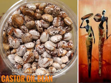 Load image into Gallery viewer, CASTOR Oil Bean |  - Origin. Ghana/Nig - West African Villages  - | - FREE SHIPPING applies to orders up to 99 Dollars or 50 Pounds.