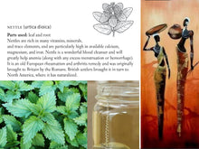 Load image into Gallery viewer, NETTLES | URTiCA DiOCA - Origin. C/S.Americas | - FREE SHIPPING applies to orders up to 99 Dollars or 50 Pounds