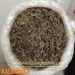 🌿KALAWALLA (Country Origin. Jamaica) Next Wild-Picking Availability - Mar 2024