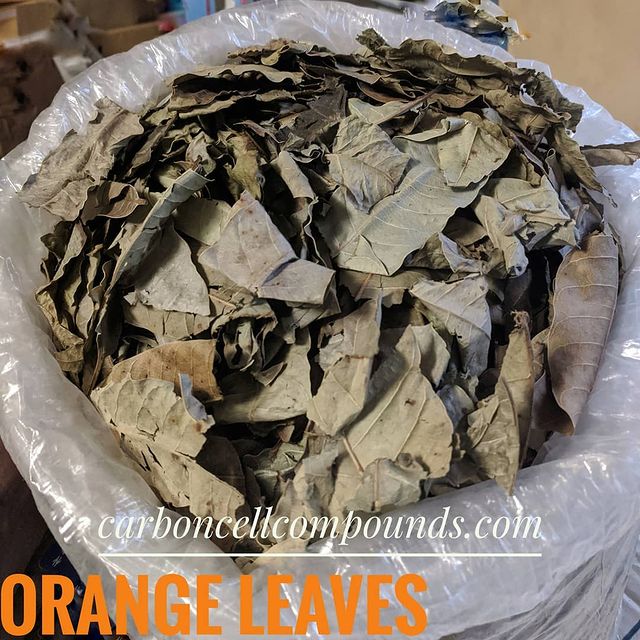 🌿TROPICAL (SOUR ORANGE) LEAVES (Country Origin. Jamaica)