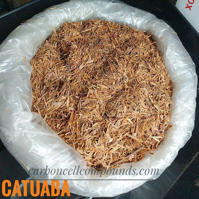 CATUABA BARK (Origin. South America Mountains)