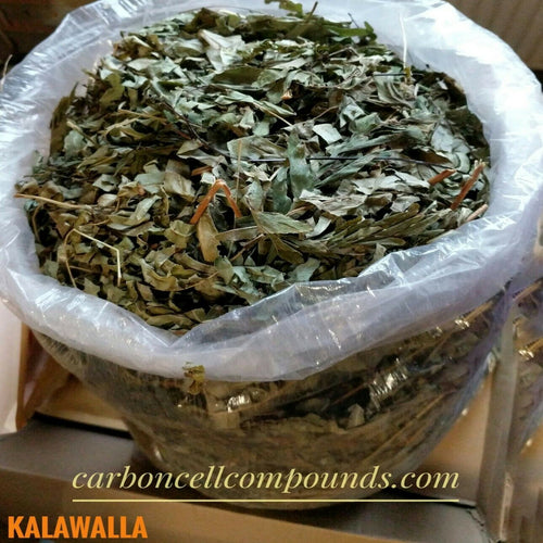 🌿KALAWALLA LEAVES (Country Origin. Jamaica) Next Wild-Picking Availability - Feb 2024