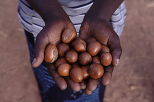 🌿Africa Shea Butter (Country Origin. Ghana)